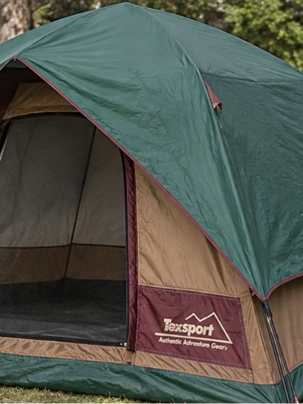 Dome 4 person tent